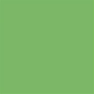 15-6437 TCX Grass Green