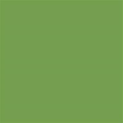 16-0237 TCX Foliage