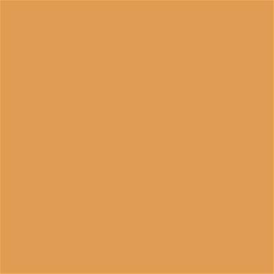 16-1142 TCX Golden Nugget