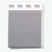 17-0606 TSX Crusted Gravel - Polyester Swatch Card