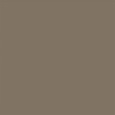 17-0909 TCX Fossil