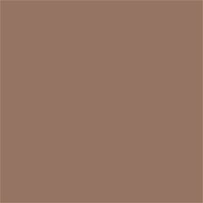 17-1417 TCX Beaver Fur