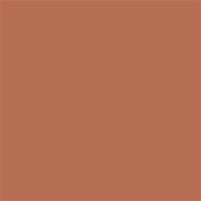17-1436 TCX Raw Sienna