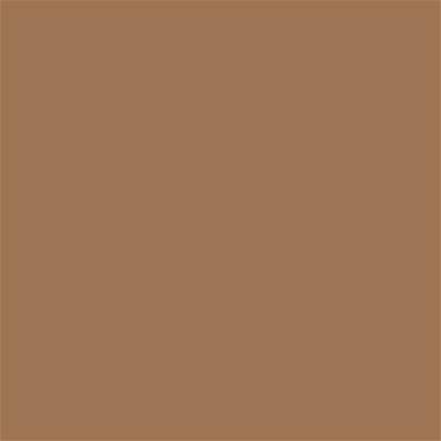 18-1029 TCX Toasted Coconut
