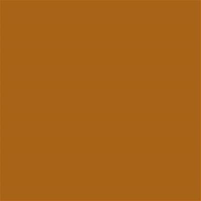 18-1050 TCX Honey Ginger