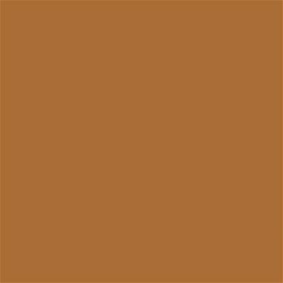 18-1160 TCX Sudan Brown