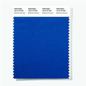 19-4119 TSX Blueberry Pancake - Polyester Swatch Card