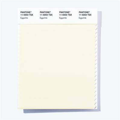 11-0203 TSX Eggwhite - Polyester Swatch Card