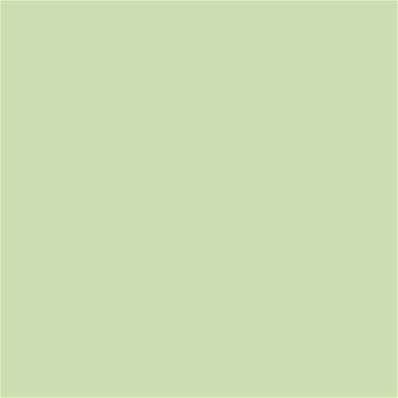 12-0313 TCX Seafoam Green