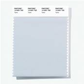 13-0201 TSX Tiptoe - Polyester Swatch Card