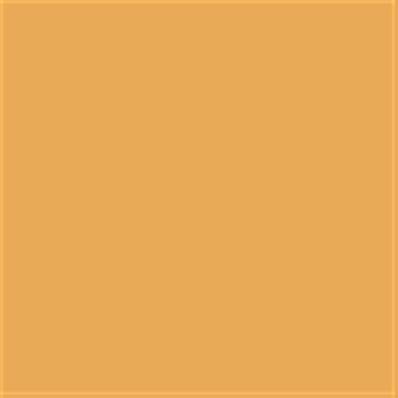 13-0946 TCX Jurassic Gold