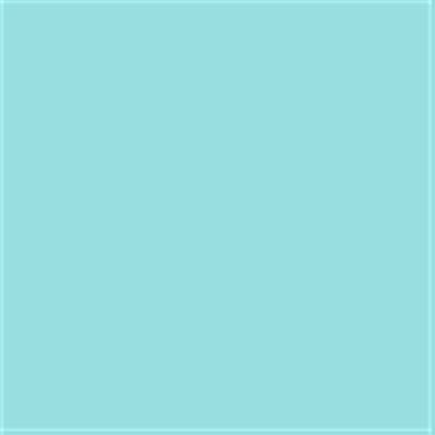 13-4810 TCX Limpet Shell