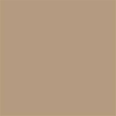 14-1012 TCX Gilded Beige