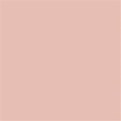 14-1312 TCX Pale Blush