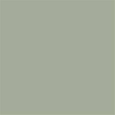 16-0110 TCX Desert Sage
