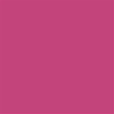 17-2031 TCX Fuchsia Rose