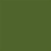 18-0330 TCX Twist of Lime