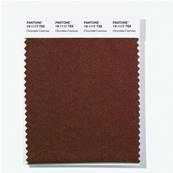 19-1117 TSX Chocolate Cremoso - Polyester Swatch Card