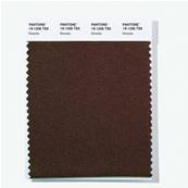 19-1206 TSX Ristretto - Polyester Swatch Card