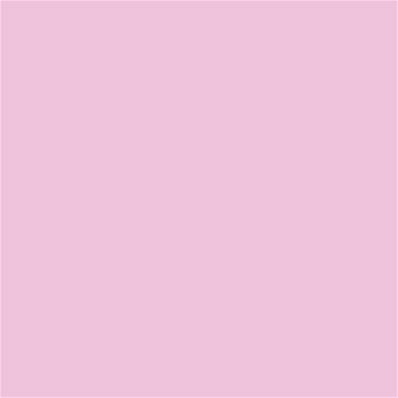 13-2806 TCX Pink Lady