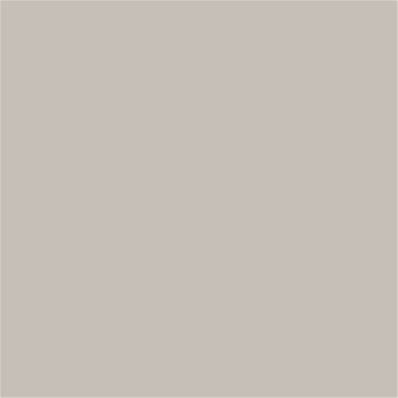 14-0000 TCX Silver Gray