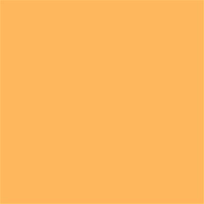 14-1051 TCX Warm Apricot