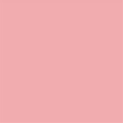 14-1714 TCX Quartz Pink