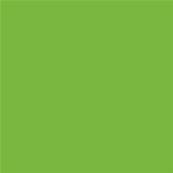 15-0262 TSX Lime Zest - Polyester Swatch Card