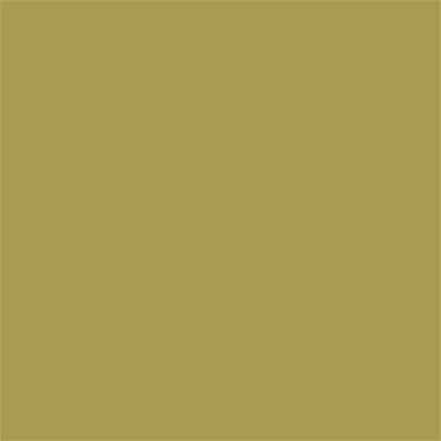 16-0737 TCX Burnished Gold