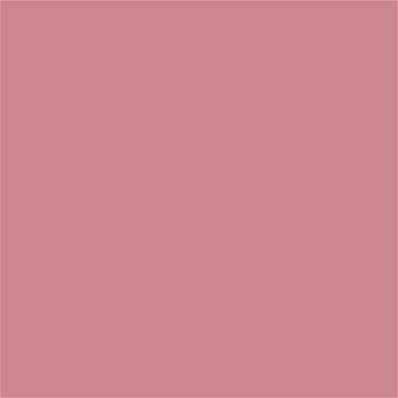 16-1610 TCX Brandied Apricot