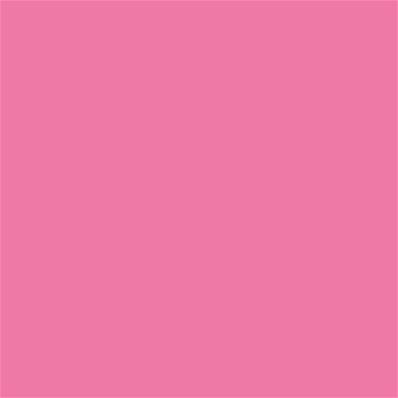 16-2124 TCX Pink Carnation