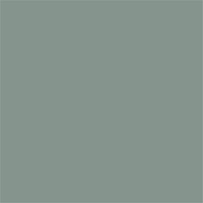 16-5806 TCX Green Milieu