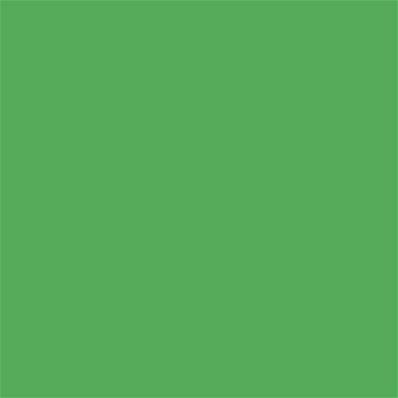 16-6339 TCX Vibrant Green