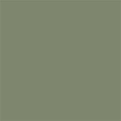 17-0115 TCX Oil Green