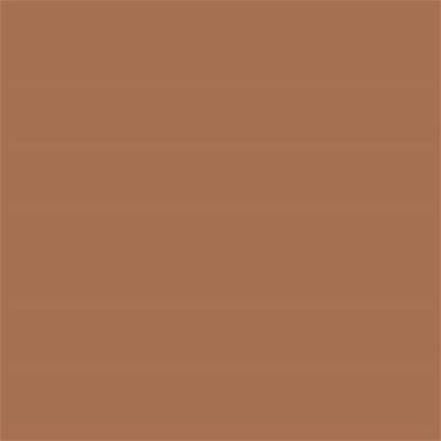17-1430 TCX Pecan Brown