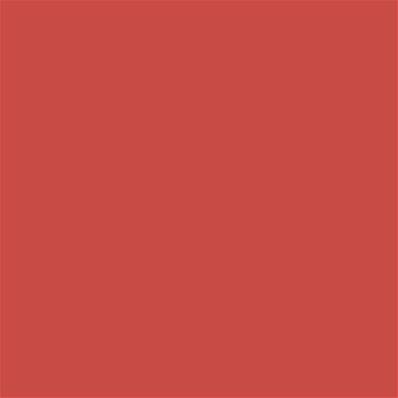 17-1553 TCX Paprika