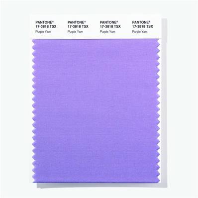 17-3818 TSX Purple Yam - Polyester Swatch Card