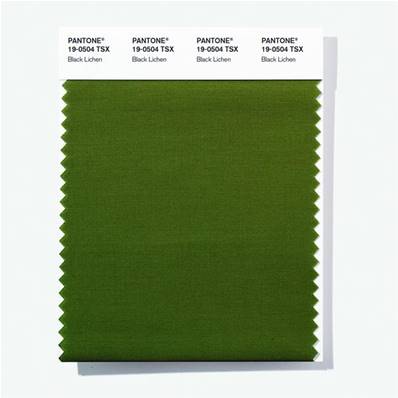 19-0504 TSX Black Lichen - Polyester Swatch Card