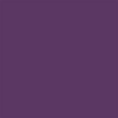 19-3528 TCX Imperial Purple