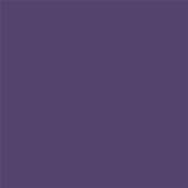 19-3620 TCX Purple Reign