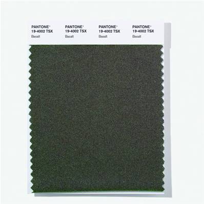 19-4002 TSX Basalt - Polyester Swatch Card