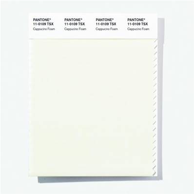 11-0109 TSX Cappucino Foam - Polyester Swatch Cards