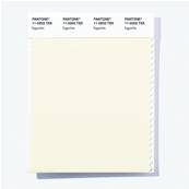 11-0203 TSX Eggwhite - Polyester Swatch Card