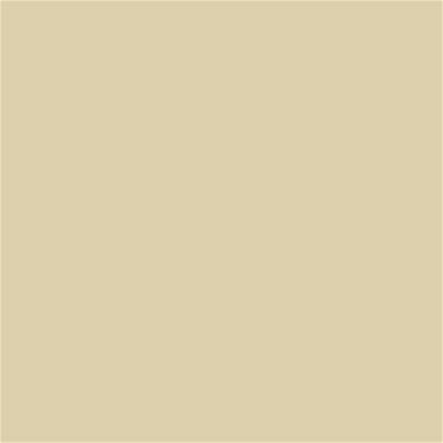 13-0613 TCX Chino Green