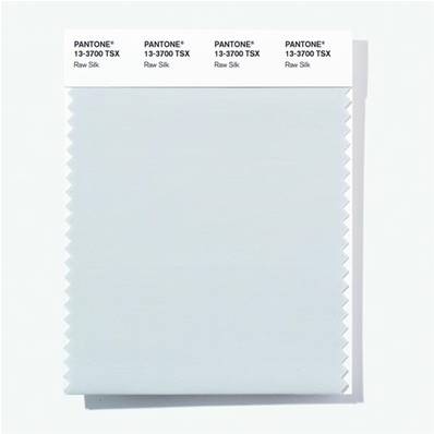 13-3700 TSX Raw Silk - Polyester Swatch Card