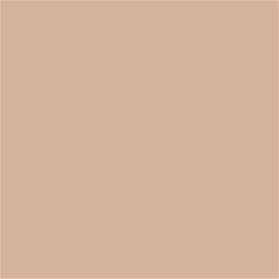 14-1213 TCX Toasted Almond