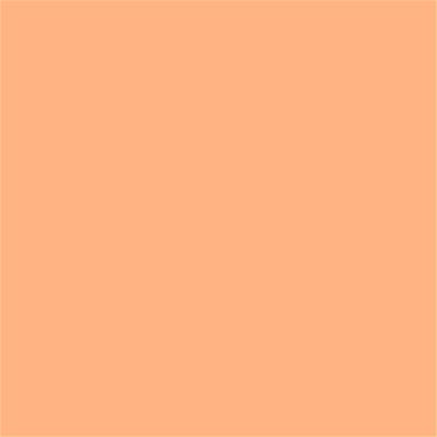 14-1231 TCX Peach Cobbler