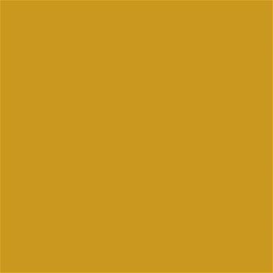 16-0952 TCX Nugget Gold