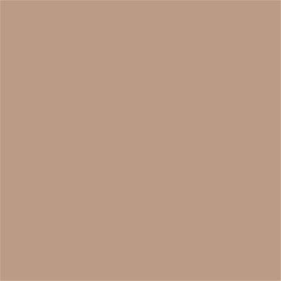 16-1317 TCX Brush