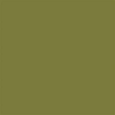 17-0530 TCX Guacamole